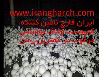 ایران قارچ تامین کننده کمپوست قارچ دکمه ای،خاک پوششی و بذر قارچ دکمه ای